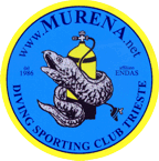 Murena Trieste