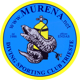 Murena Diving Sporting Club logo